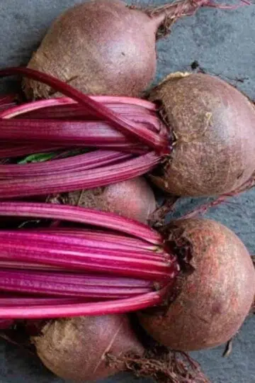 Health and beauty benefits of beets