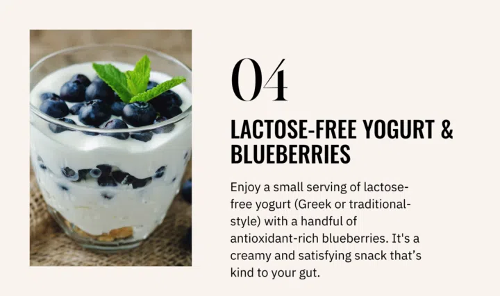 lactose-free yogurt and blueberries