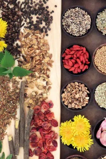 4 Best Super Food Herbs Spices for Your Immune System