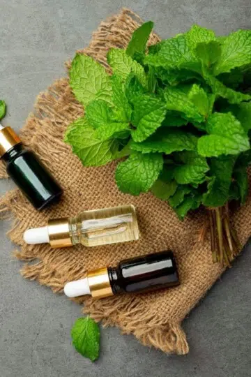Eyn Mint natural herbs spices natural healing instagram post 1085 5
