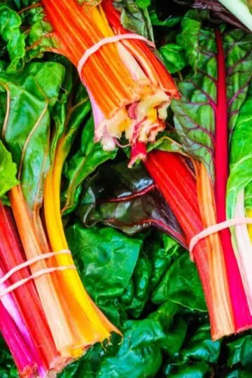 Vegetables best healthy greens to eat