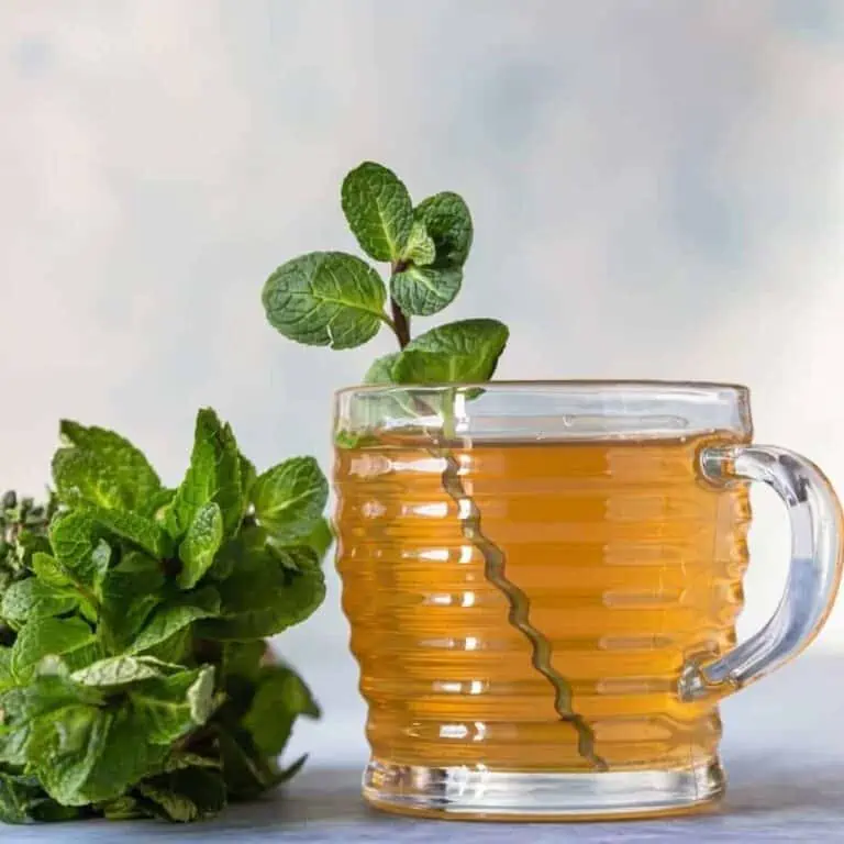 PLN tea, peppermint, licorice, and nettle tea for healthy digestion.