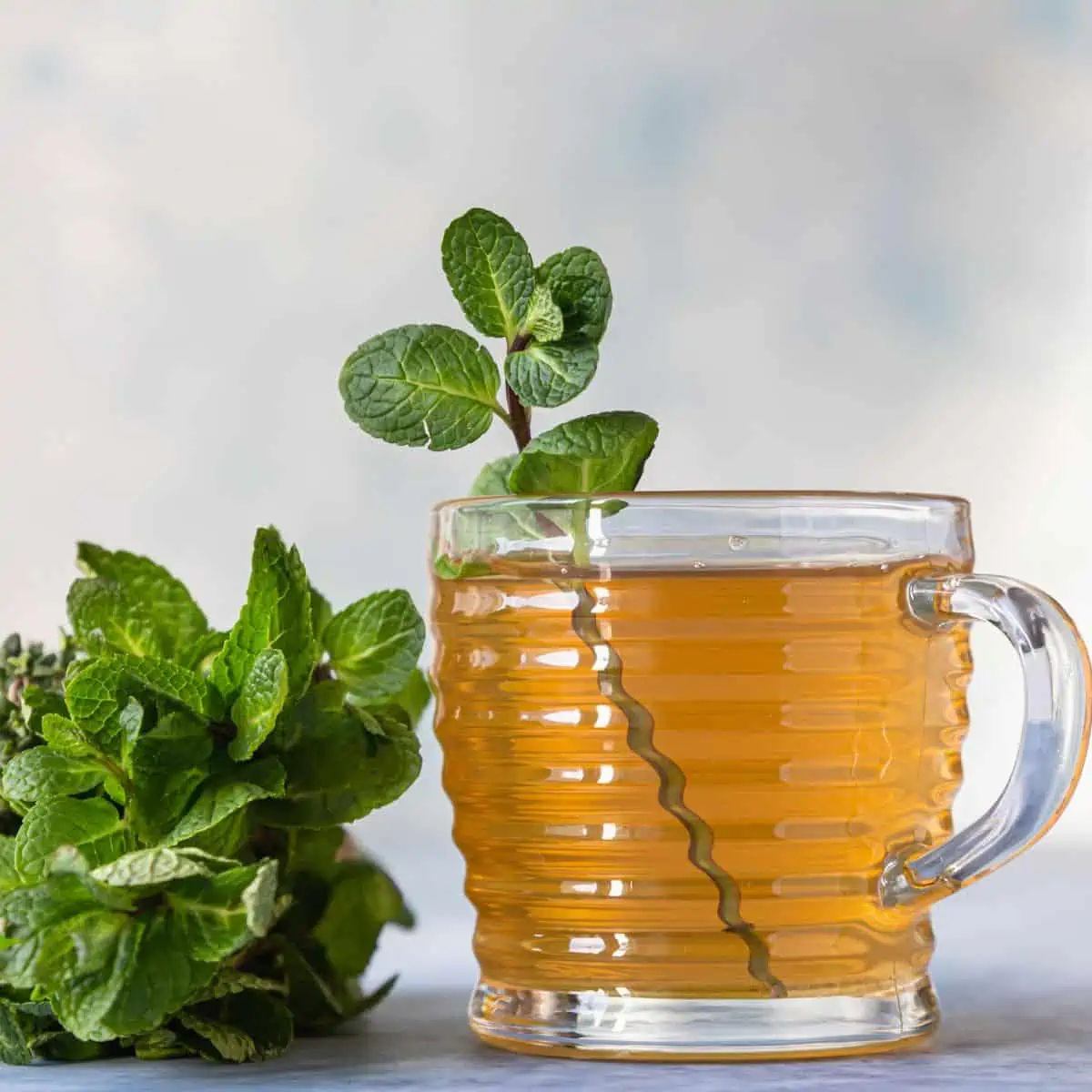 Best Digestion Tea Recipe For Healthy Gut - Healthy Gut Tea 17 healthy digestion tea recipe. healthy gut tea