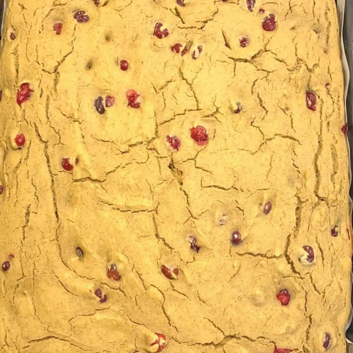 Pumpkin cranberry sheet pan pancakes