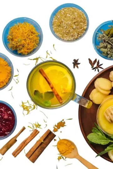 Immune boosting herbs to strengthen the body and for helping the immune system