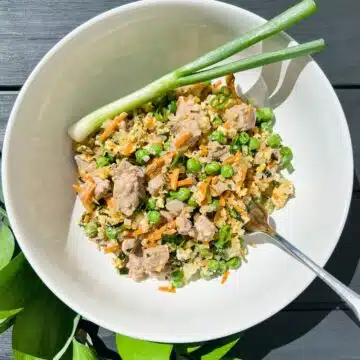 Pork fried rice stir fry recipe