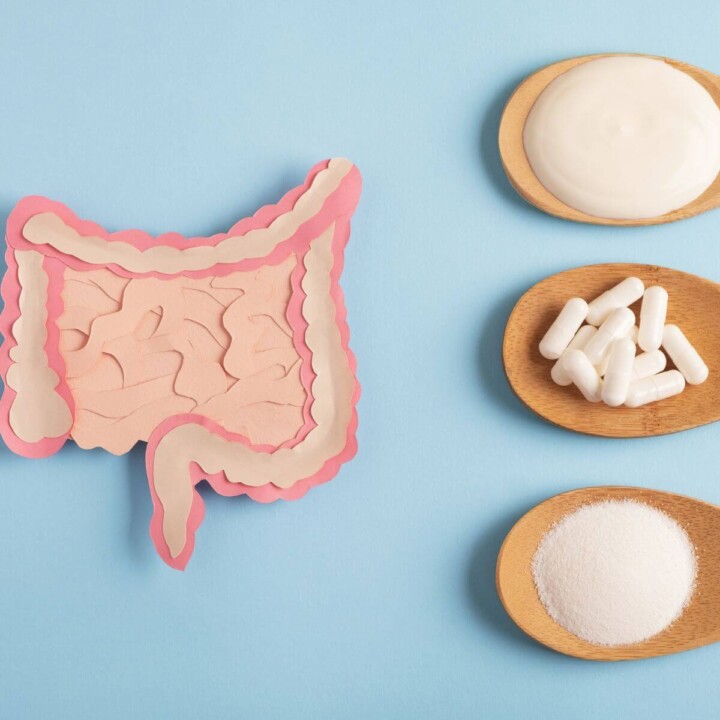 Understanding Gut Microbiome Health and Metabolism Connection