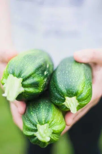 Zucchini Health and Beauty Benefits How to Prepare Zoodles