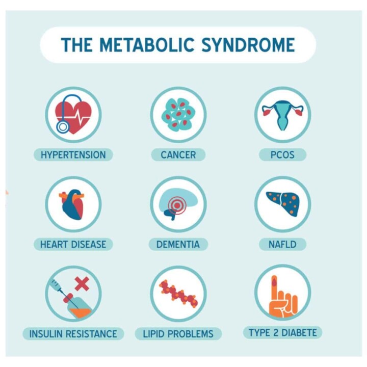 Metabolic diseases like hypertension, diabetes, heart disease and gut health.