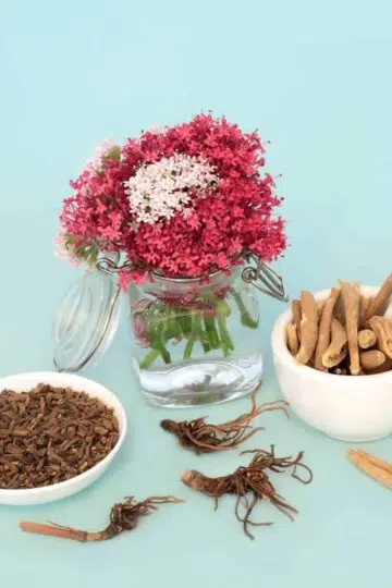 Adaptogenic Herbs Most Powerful Tool in Holistic Health