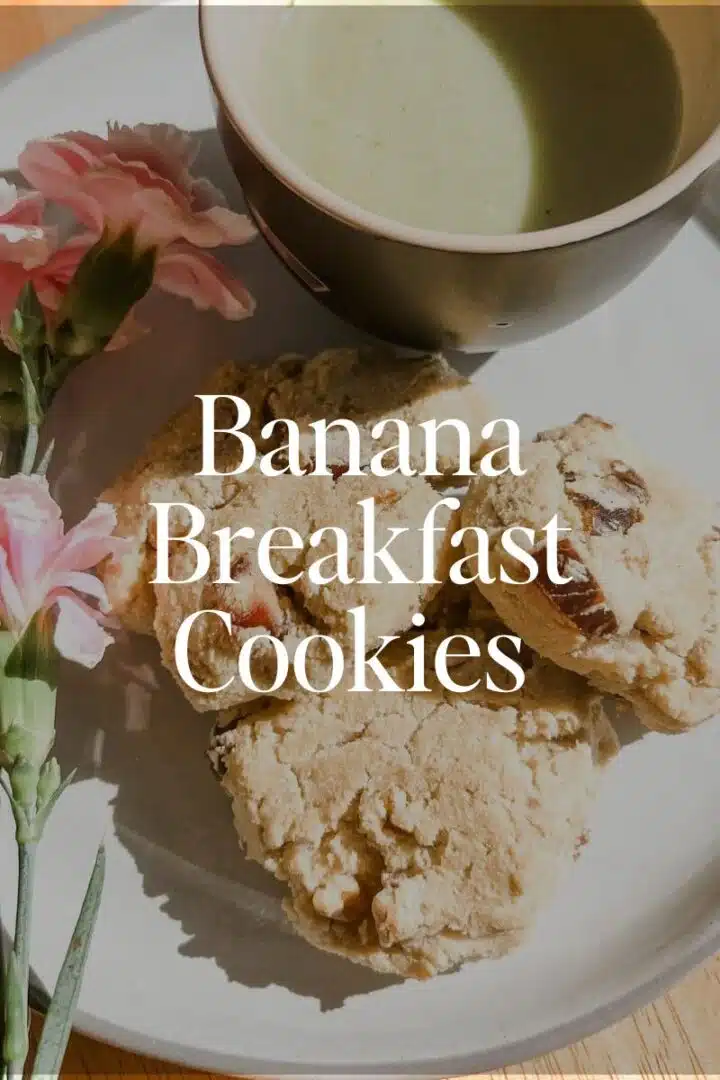 Banana Breakfast Cookies