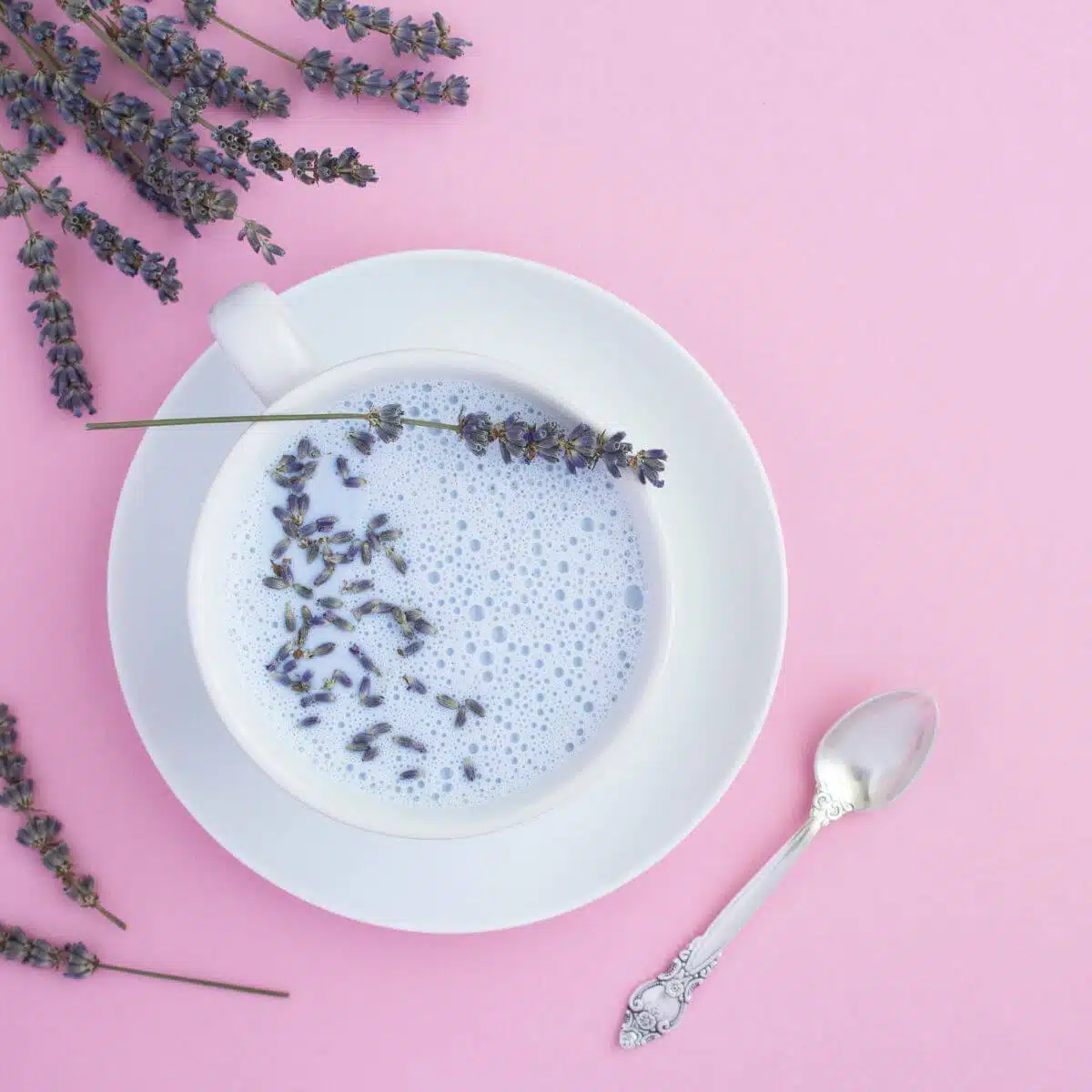 Blueberry moon milk recipe with adaptogens
