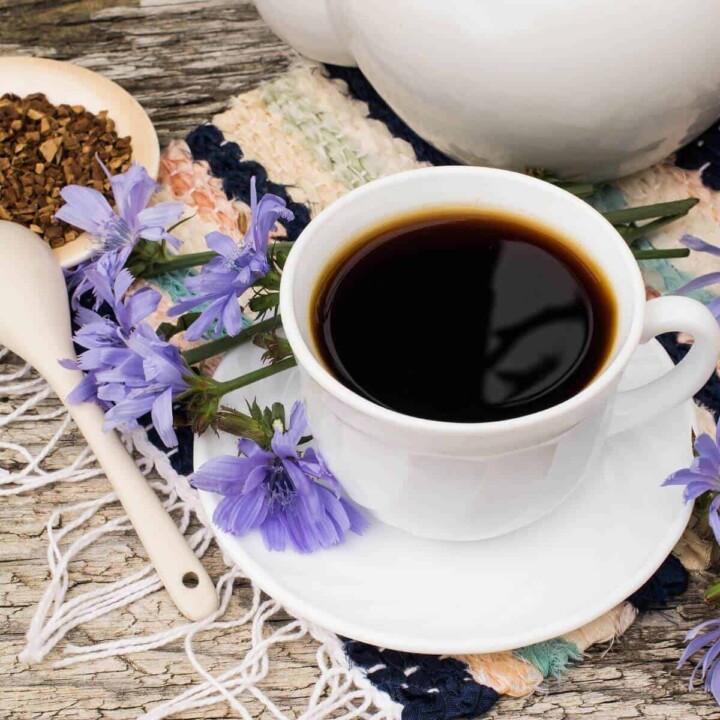 chicory root coffee, enhance natural butyrate production