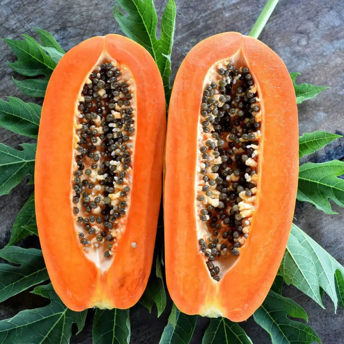 recipe for papaya smoothie