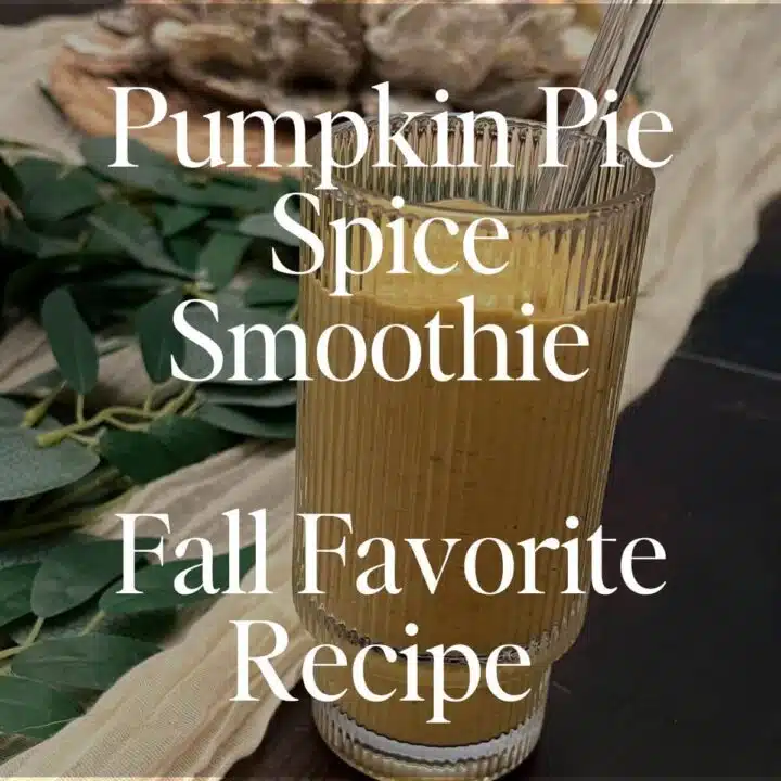 Pumpkin Pie Spice Smoothie Recipe: Fall Favorite For Gut Health
