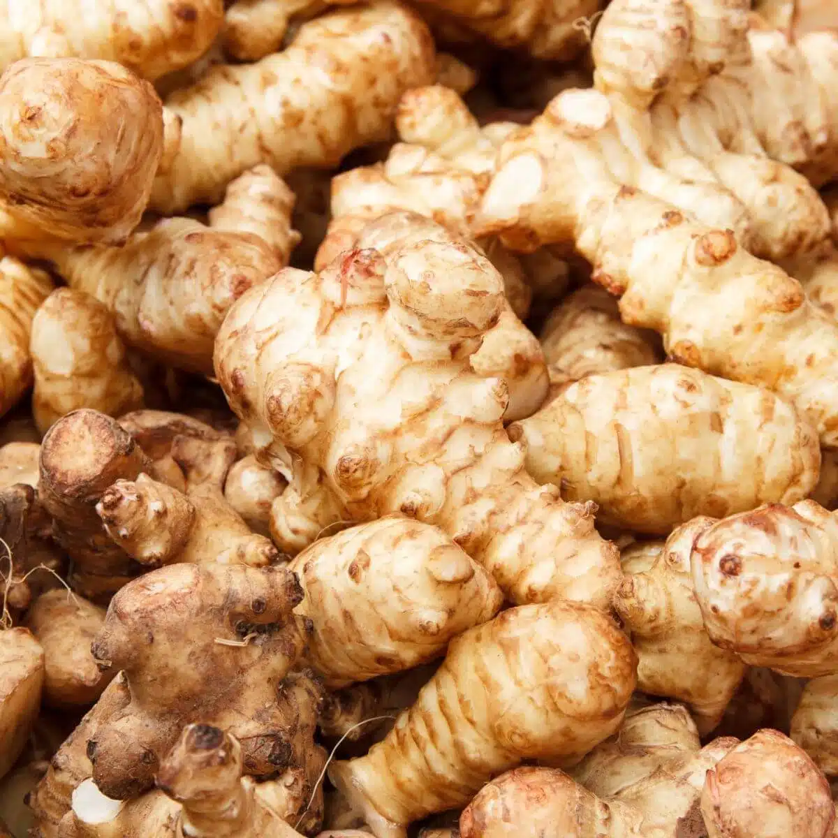 health benefits of Jerusalem artichokes
