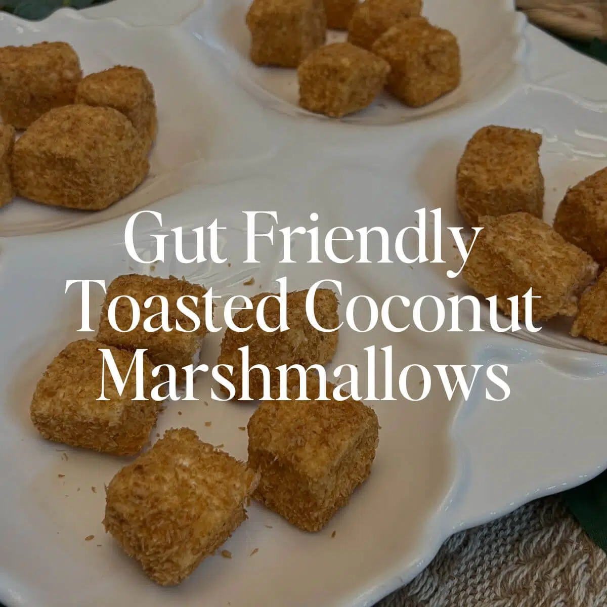 Gut Friendly Toasted Coconut Marshmallows