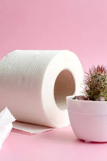 Effective Constipation Tips How to Relieve Constipation Naturally