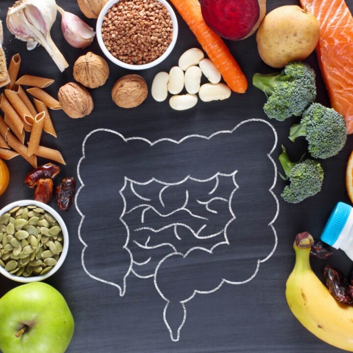 Holistic Gut Health