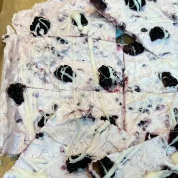 Easy Blackberry Frozen Yogurt Bark - Gut Healthy Dessert