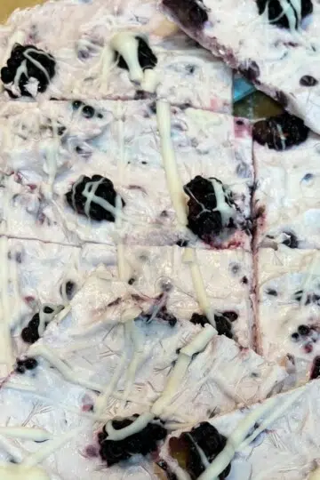 Easy Blackberry Frozen Yogurt Bark Gut Healthy Dessert