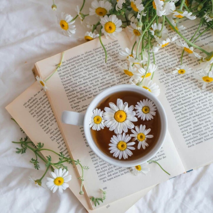 Final Thoughts: Refresh Your Wellness Naturally This Spring with healthy spring tips