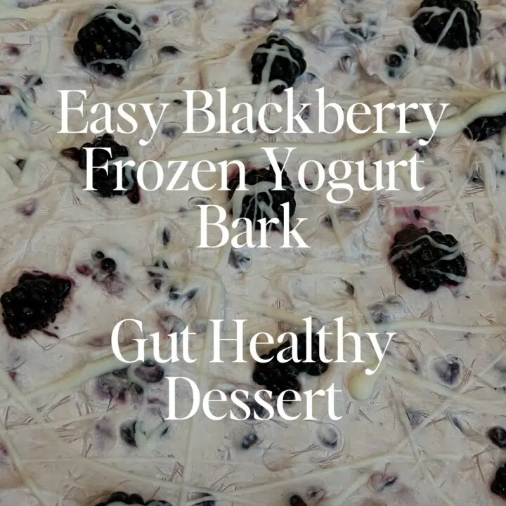 blackberry frozen yogurt bark recipe