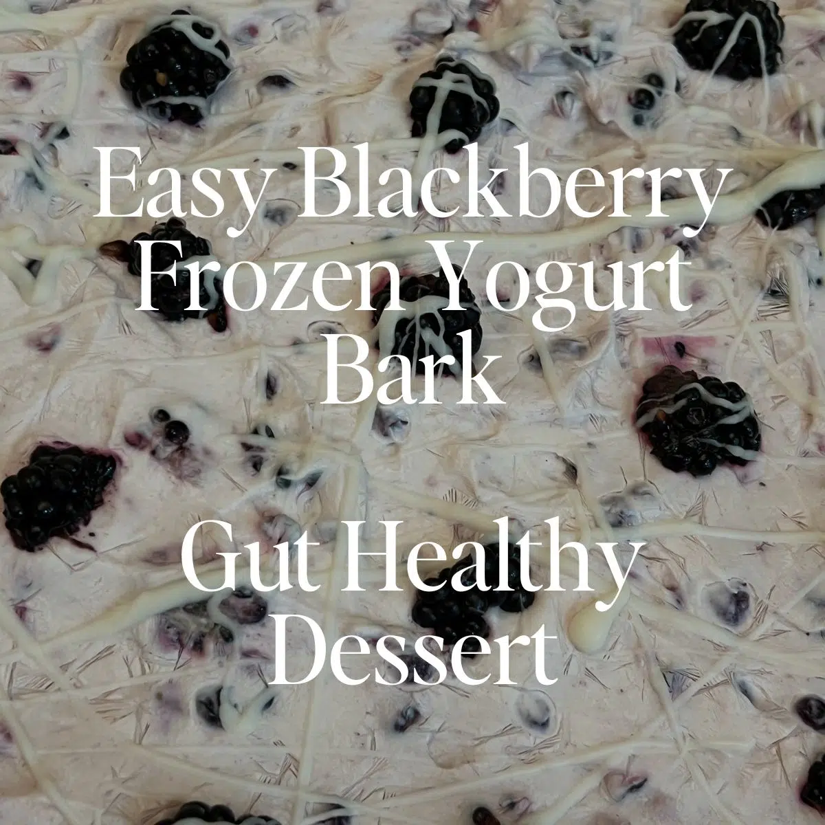 blackberry frozen yogurt bark recipe