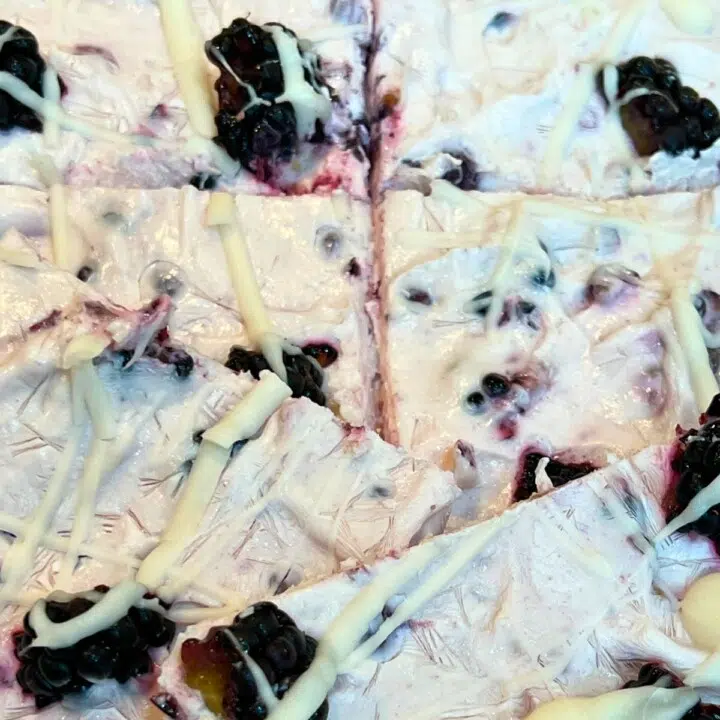 blackberry yogurt bark