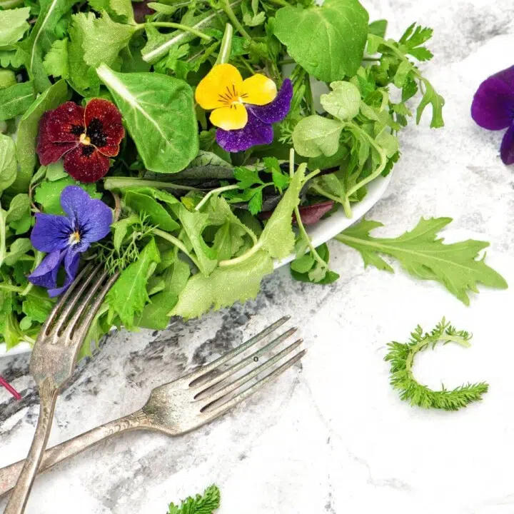 rhythm-based wellness to open detox pathways