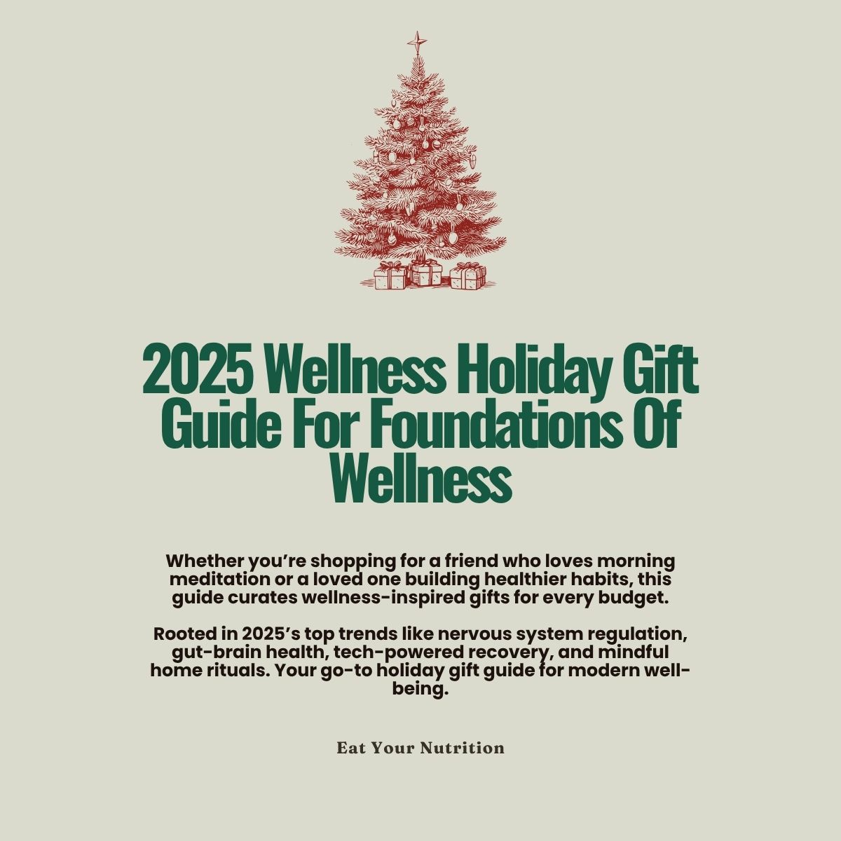 2025 wellness holiday gift guide for foundations of wellness